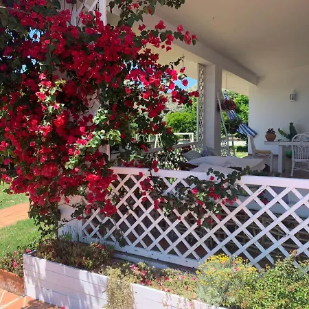 Mare Tra Cielo E Mare *