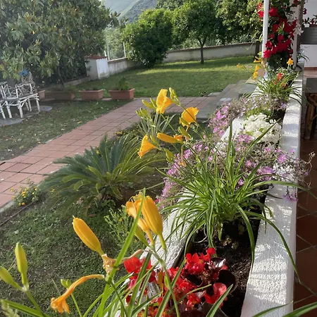 Mare Tra Cielo E Mare