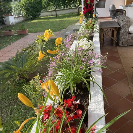 Mare Tra Cielo E Mare *