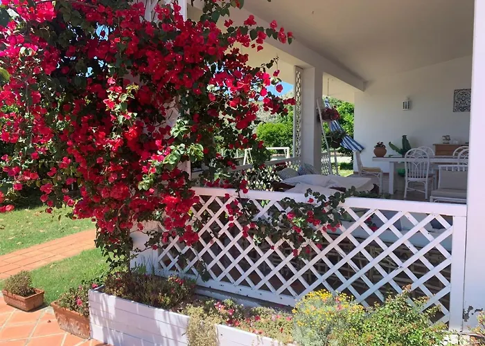 Mare Tra Cielo E Mare *