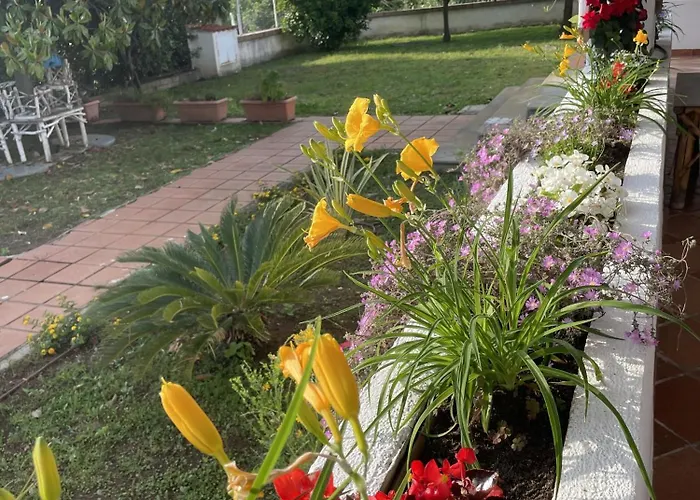 Mare Tra Cielo E Mare