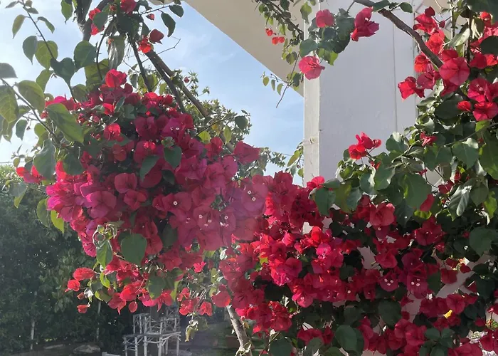 Mare Tra Cielo E Mare Villa Gaeta