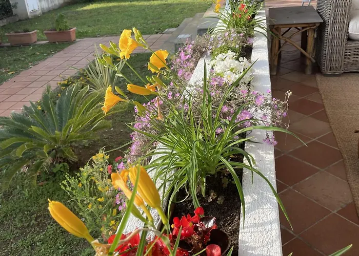 Mare Tra Cielo E Mare *