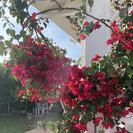 Mare Tra Cielo E Mare Villa Gaeta